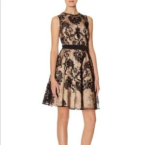 The Limited Black and Champagne lace dress